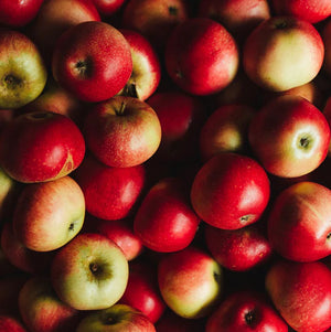 Kentish Pip Cider Tour and Tasting 2025 - Visit Link to Book