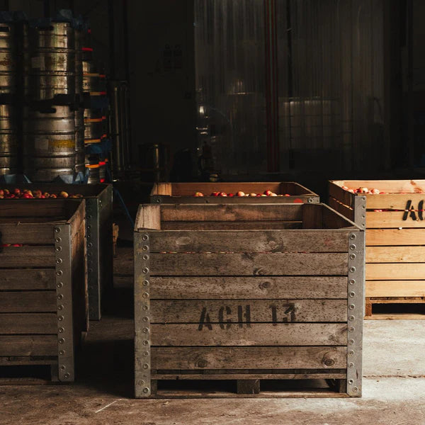 Kentish Pip Cider Tour and Tasting 2025 - Visit Link to Book