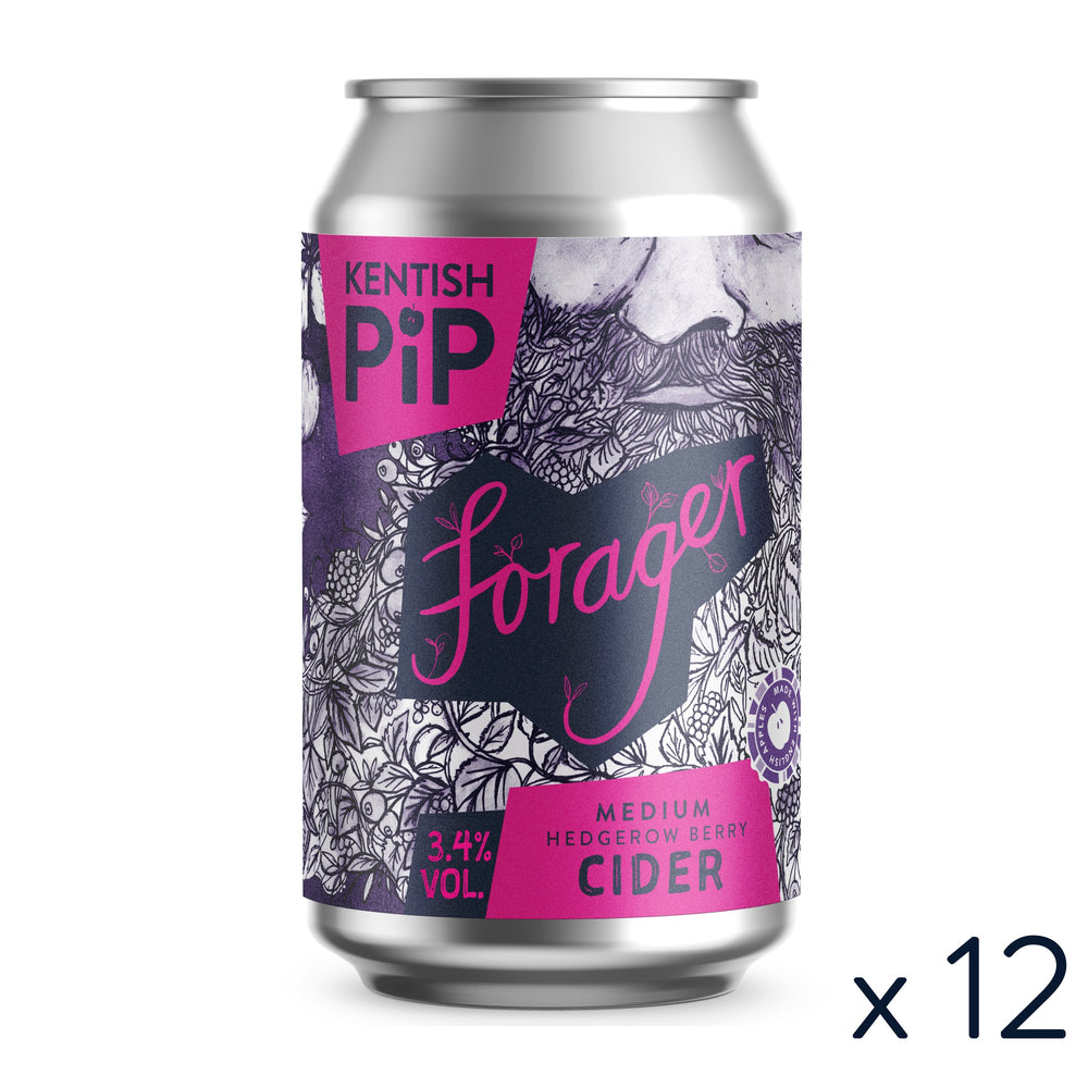 Forager Cans 12 x 330ml