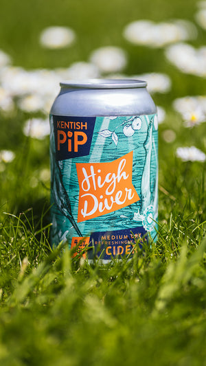 High Diver Cans 12 x 330ml