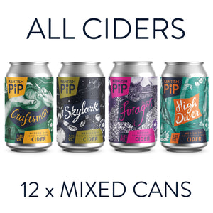 Mixed Case of all our cans 12 x 330ml
